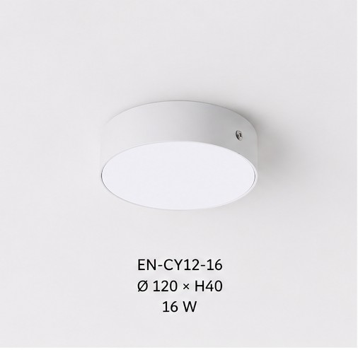 EN-CY12E Dysk