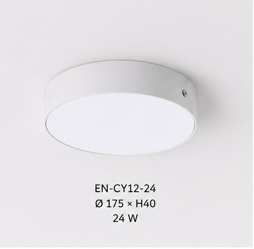 EN-CY12E Dysk