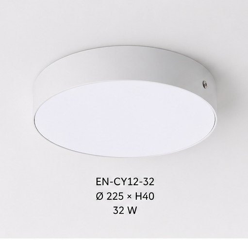 EN-CY12E Dysk