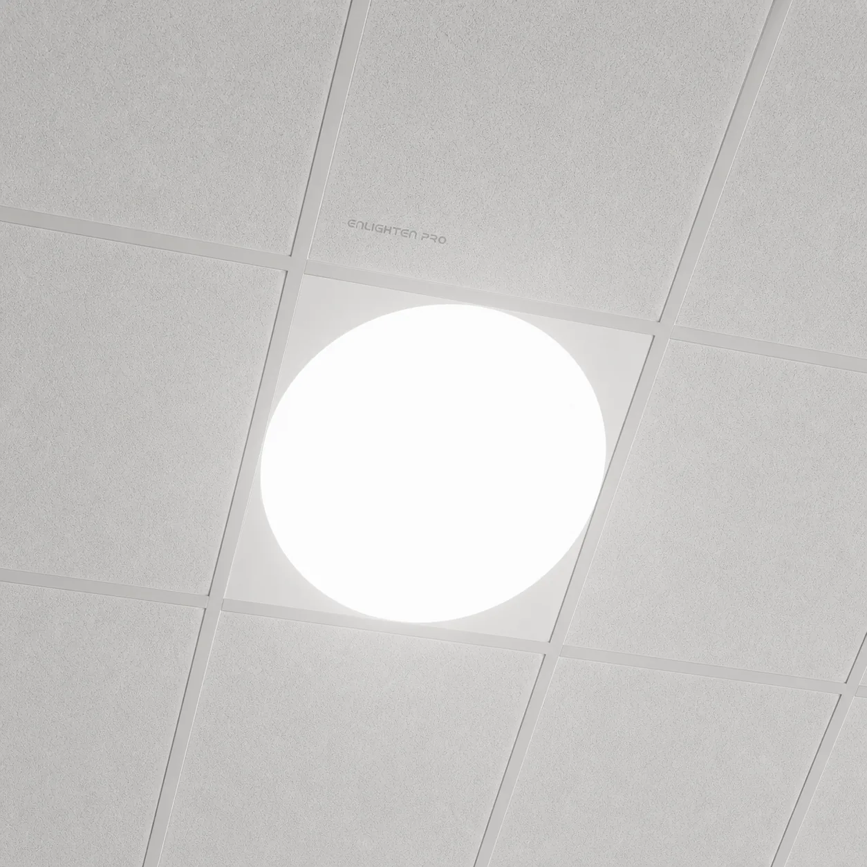 Moon 600